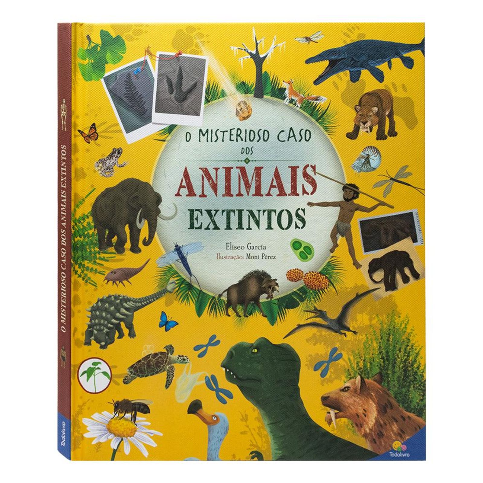 As 5 principais causas da extinção de animais