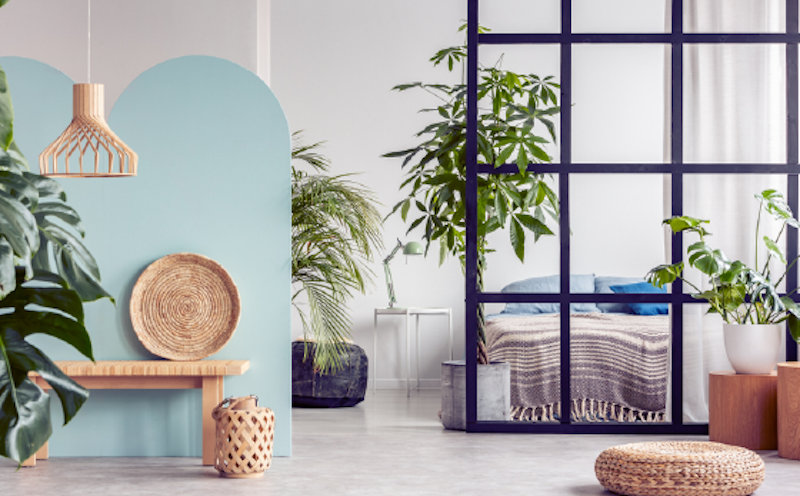 Plantas: Vida e Frescor no Seu Studio - inspiração 1