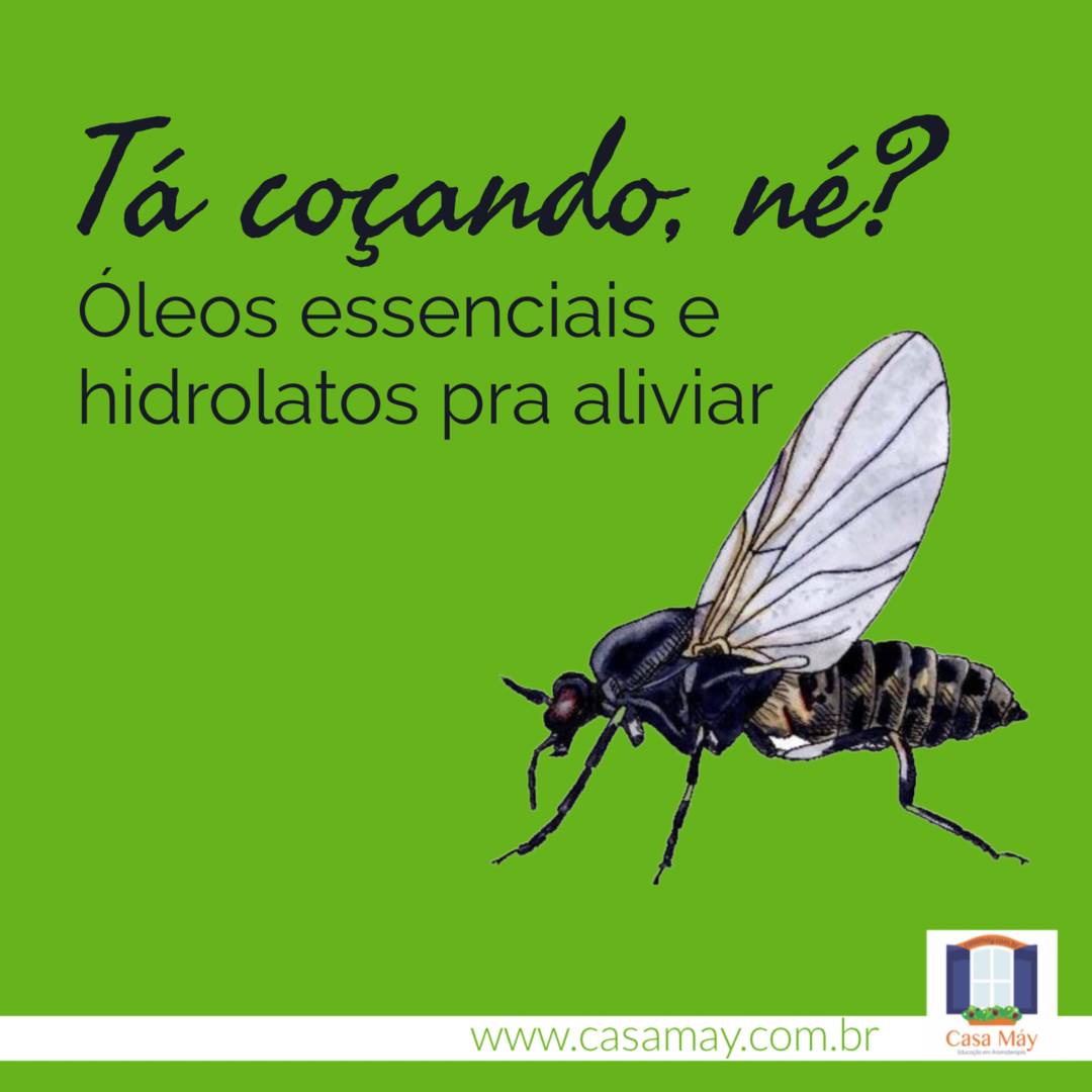 Vestuário Inteligente: Barreiras Físicas Contra os Insetos - inspiração 2