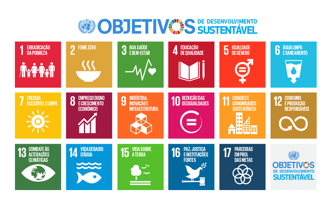 Como o voluntariado expande seus horizontes e aprendizados práticos - inspiração 1