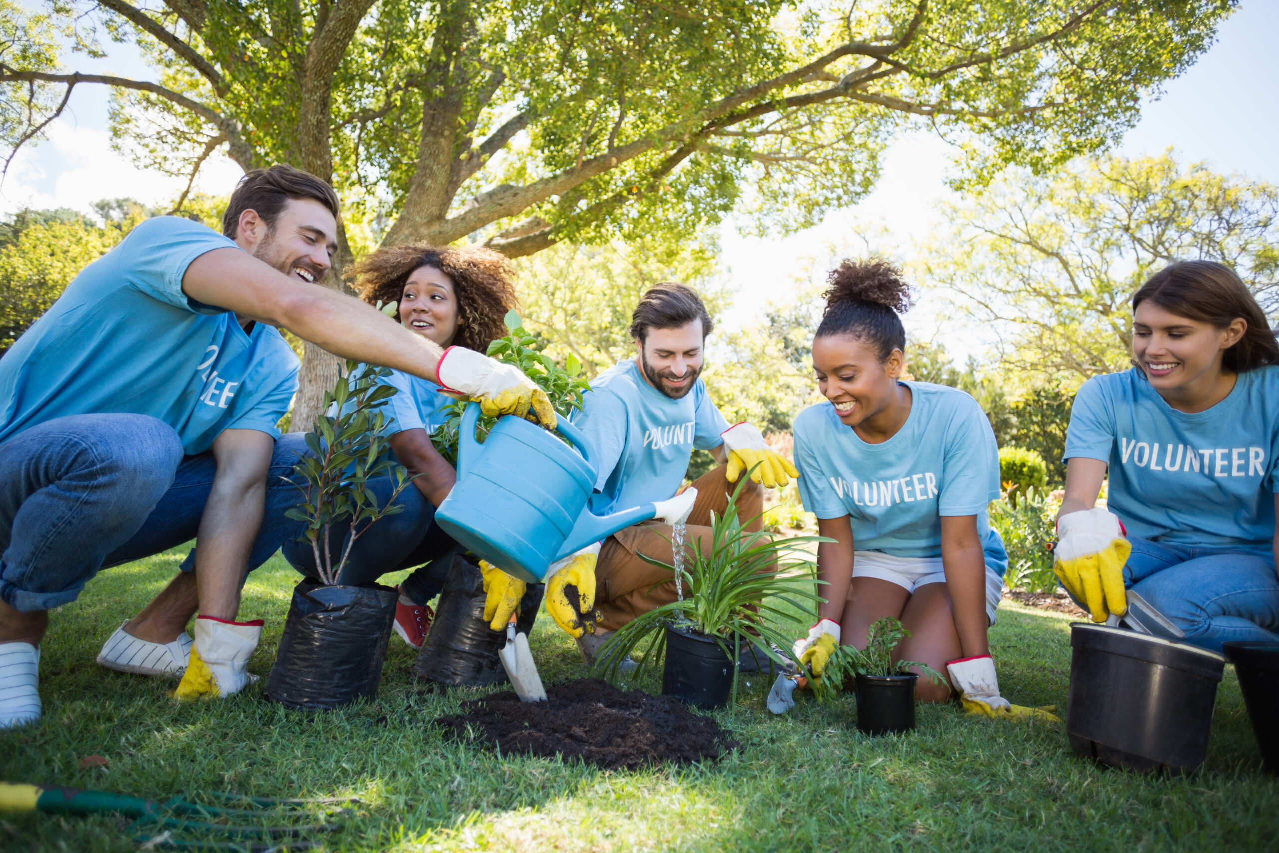 Integrando experiências de voluntariado ao seu currículo e portfólio - inspiração 2
