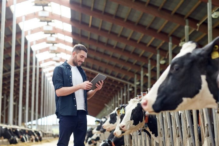 Guia completo sobre melhoramento genético animal
