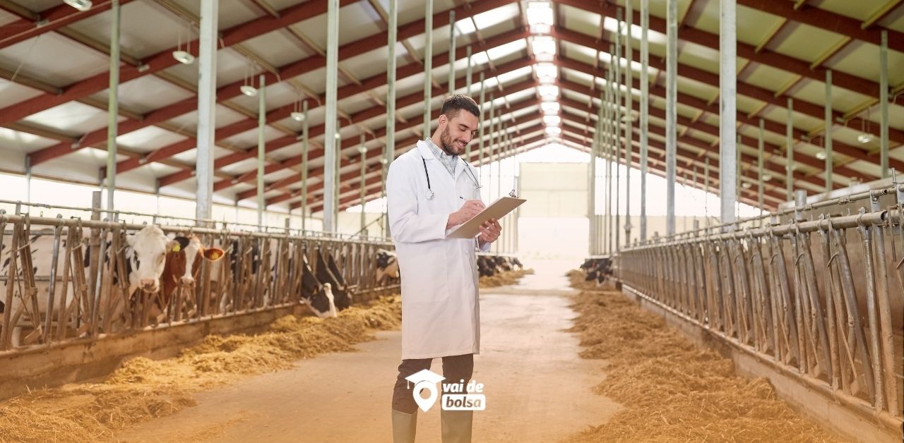 Como funciona a produção animal sustentável