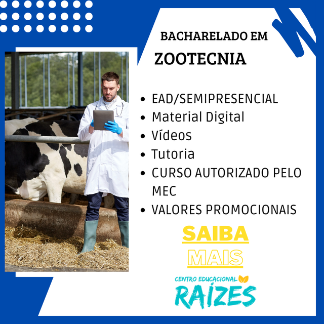 Como funciona a produção animal sustentável