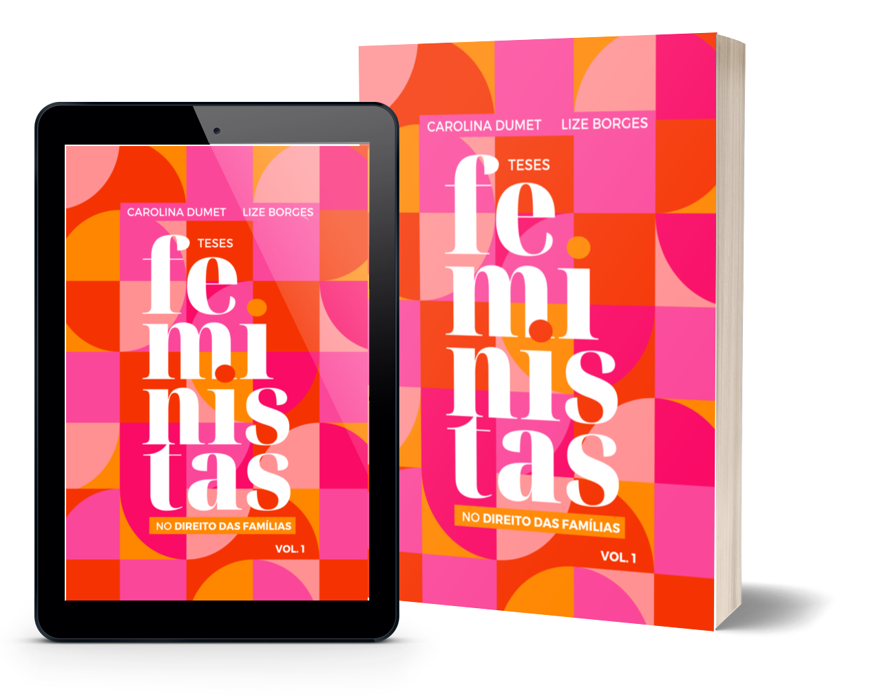 4. Desmistificando a Lei de Alienação Parental sob a Ótica Feminista