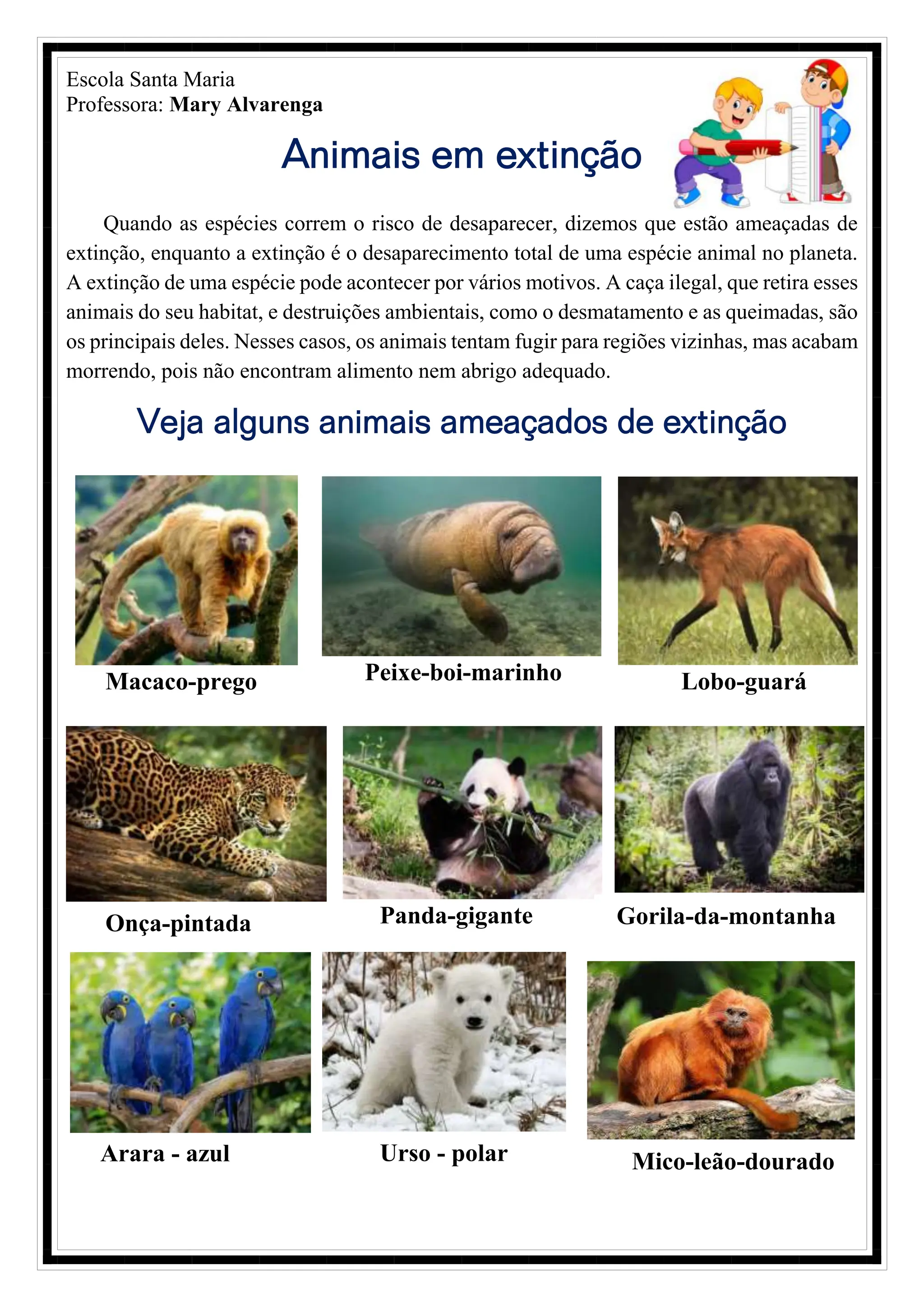 O Impacto do Desmatamento na Extinção de Espécies Brasileiras