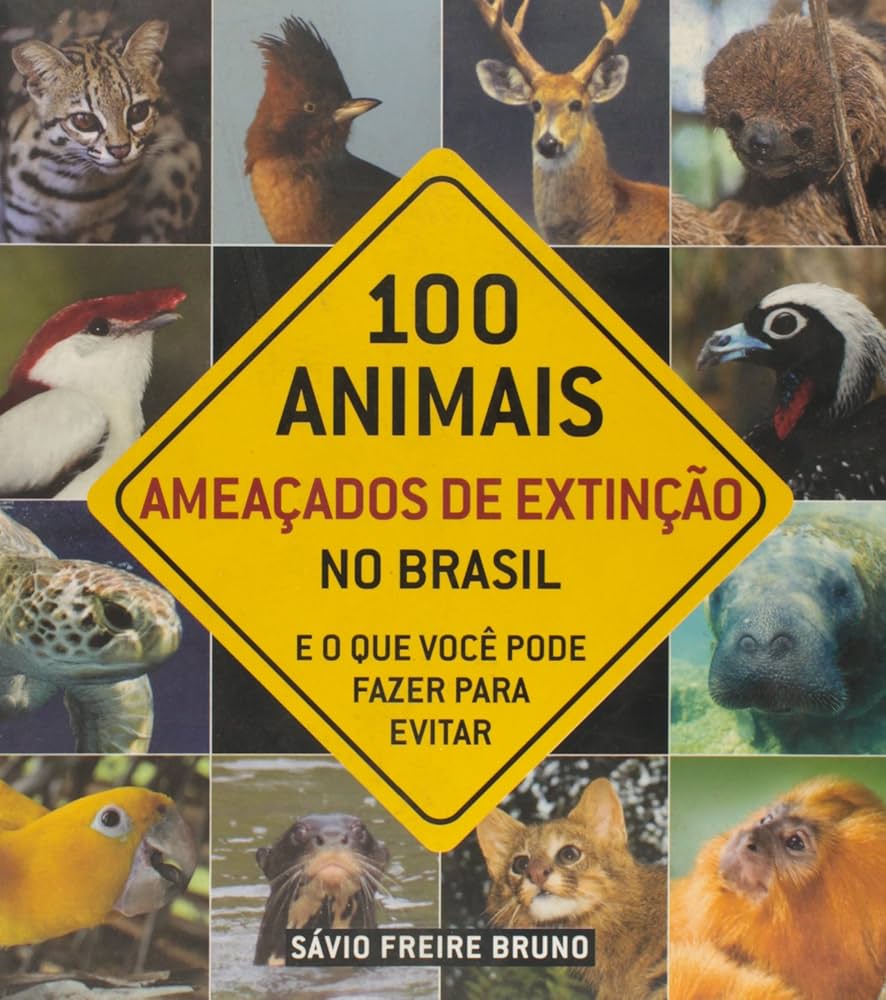 Mico-Leão-Dourado: A História de Sucesso e os Desafios da Conservação