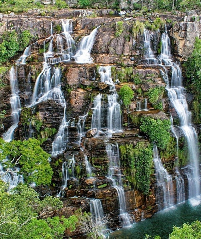 Campos Floridos Em Paletas De Cores Vibrantes - inspiração 2
