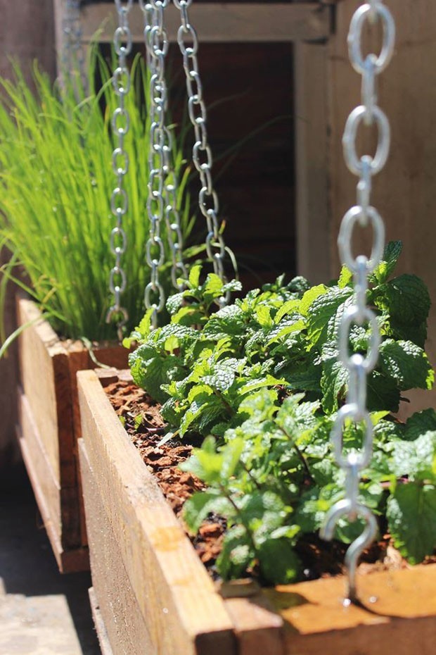 O Substrato Ideal: Nutrindo suas Plantas com Inteligência - inspiração 2