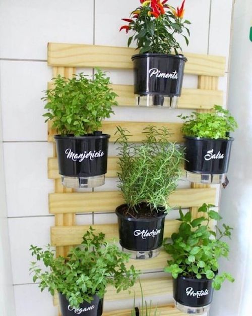 Poda e Colheita: Mantendo a Vitalidade e Saboreando seus Frutos - inspiração 1