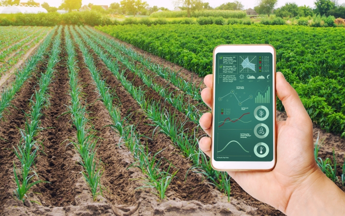 LCA e CRA: Qual o Melhor Investimento em Renda Fixa para o Agro em 2026?