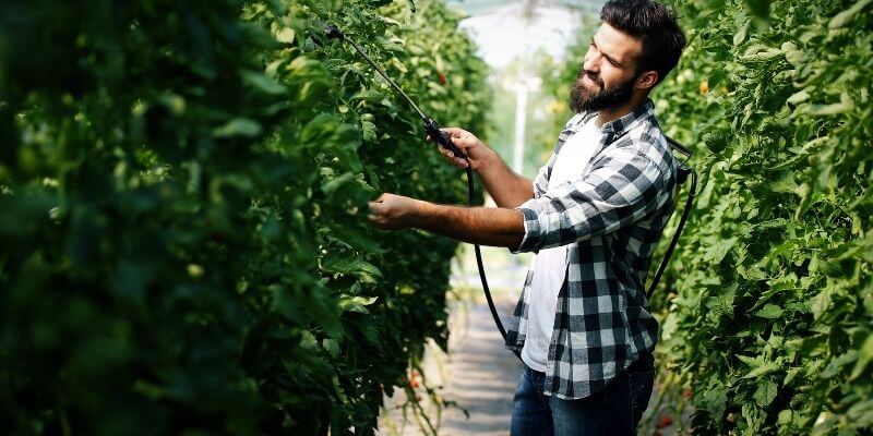 Análise das Melhores Ações do Agronegócio para 2026