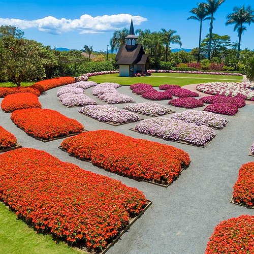 Eventos Culturais: A Vida Pulsante da Cidade - inspiração 1