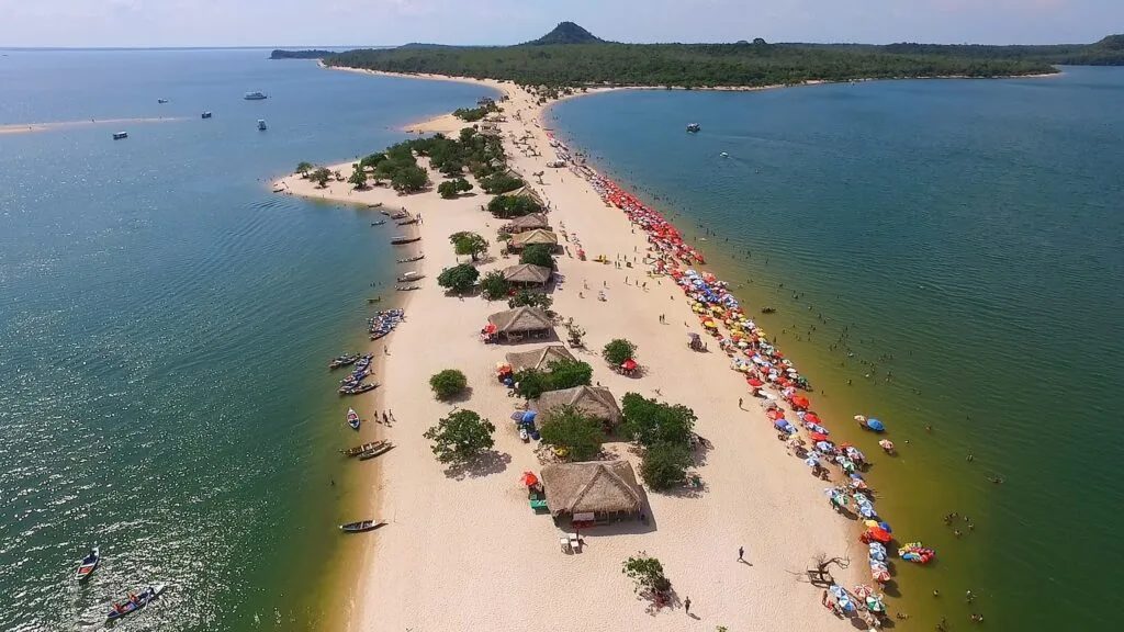 Passeios de Selva em Manaus: Agências Recomendadas e Experiências Imperdíveis