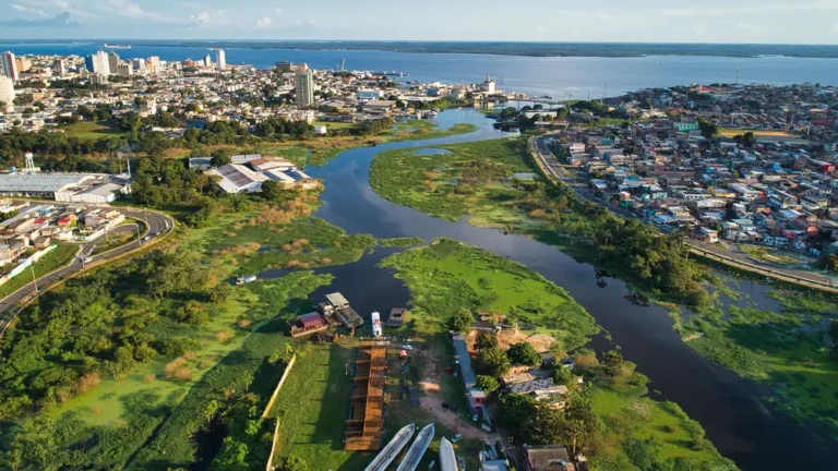 Melhor Época para Visitar Manaus e Explorar a Amazônia