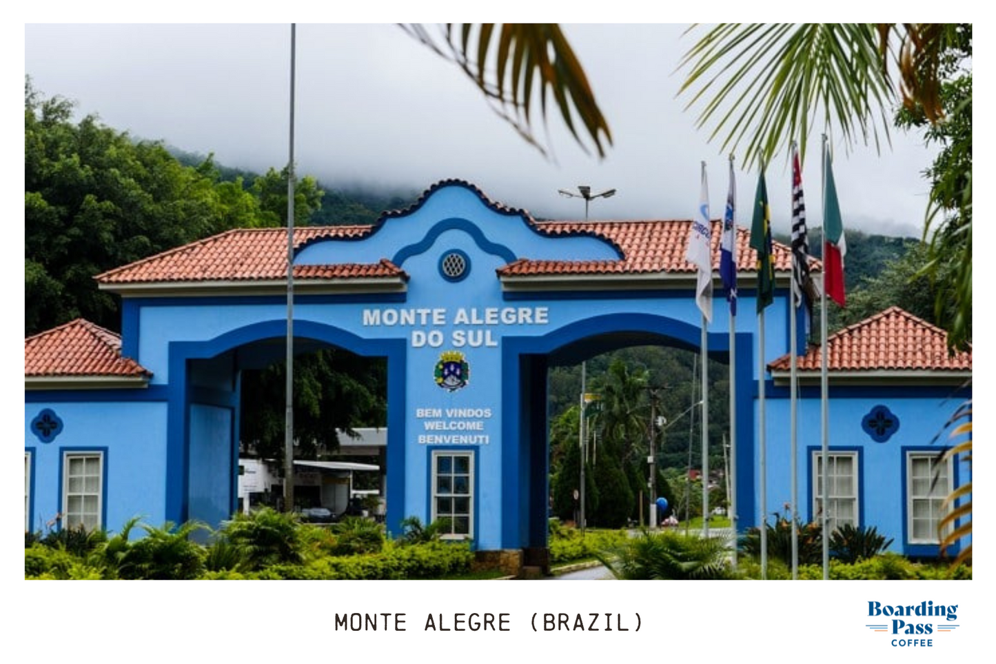 Guia Completo da Festa do Morango em Monte Alegre do Sul