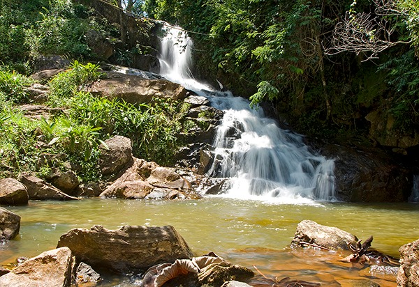 Descubra os Segredos da Cachaça Artesanal em Monte Alegre do Sul