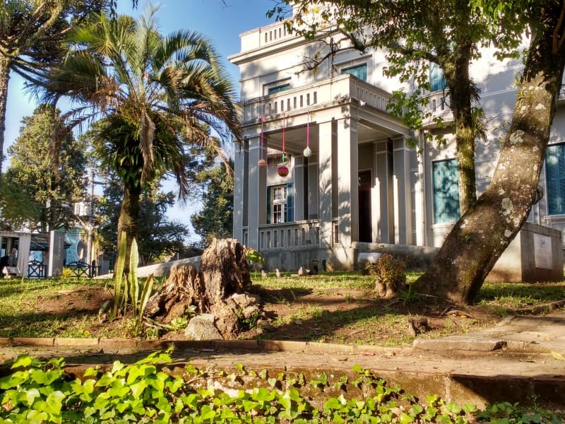 Um mergulho na natureza do Jardim Botânico - inspiração 1