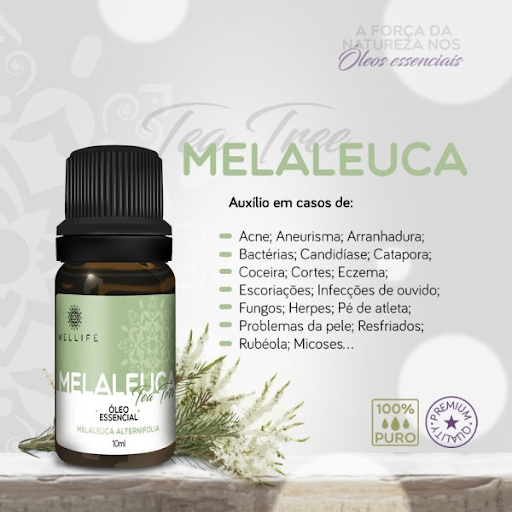 Guia Completo de Óleos Vegetais Carreadores para Cada Tipo de Pele
