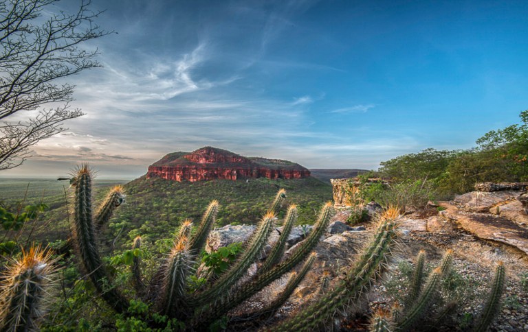 Melhor Época Para Visitar: Planejando Sua Aventura Climaticamente - inspiração 1