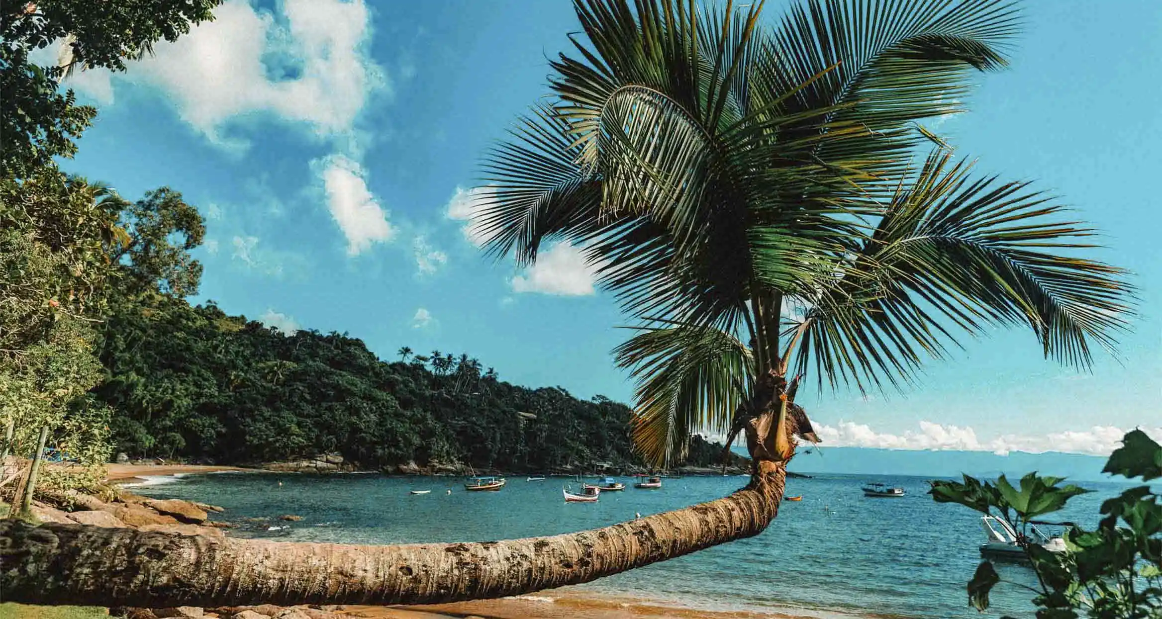 Praia de Juquehy (São Sebastião): Charme, gastronomia e beleza natural em um só lugar - inspiração 1