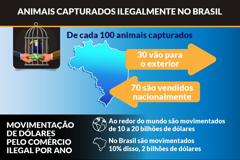 Zoonoses e o Tráfico de Animais: Riscos para a Saúde Pública