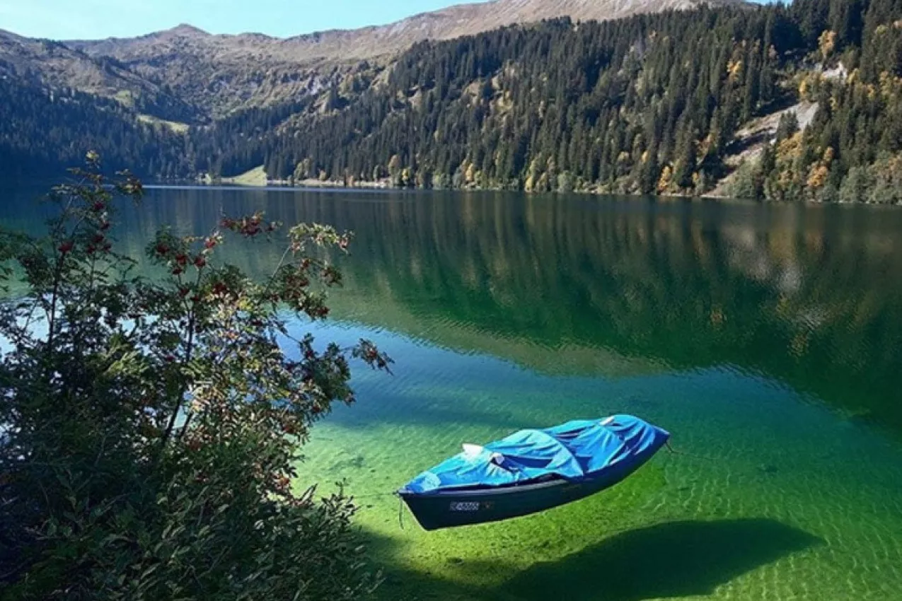 turismo nova zelandia