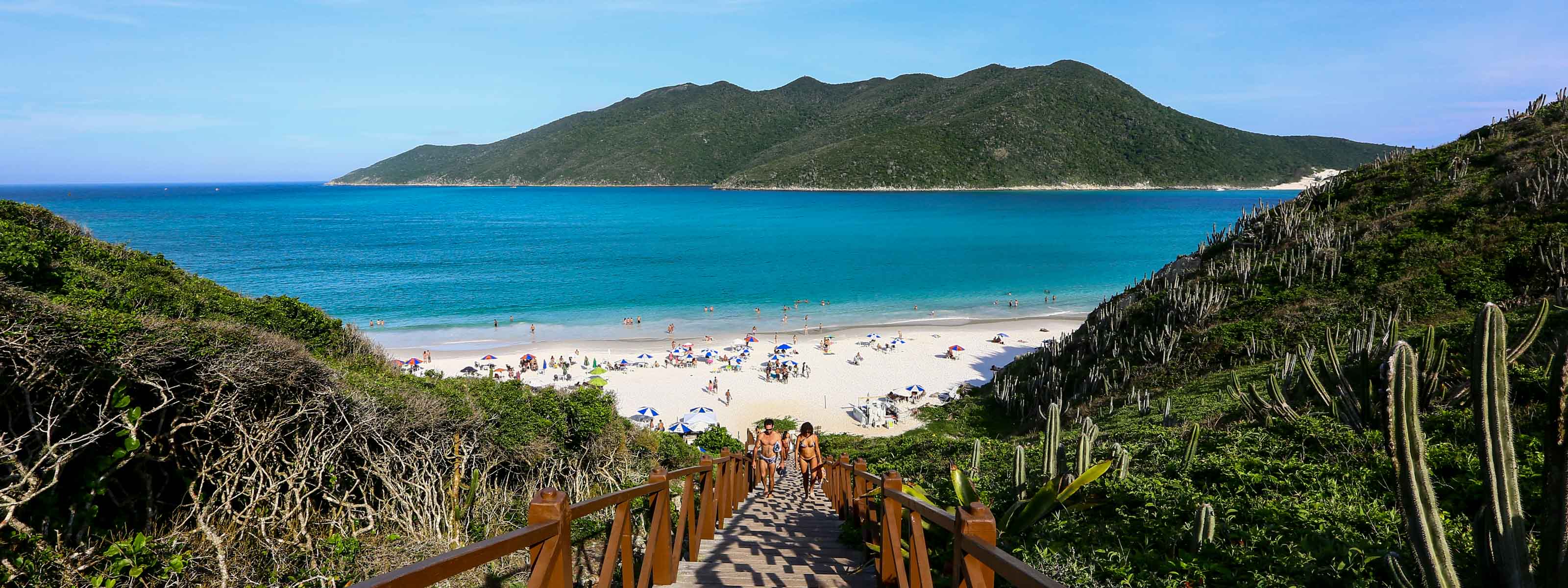 Mergulho em Arraial do Cabo: Os melhores pontos e dicas para iniciantes