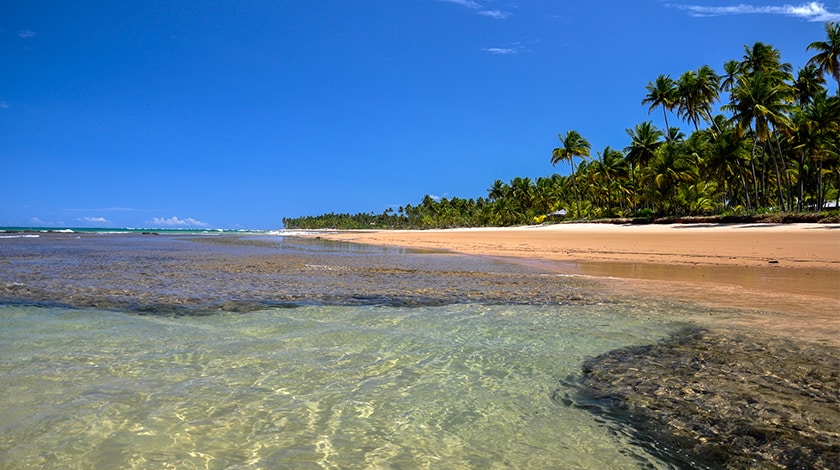 Além do Sol: Atividades e Ecoturismo nas Praias da Bahia