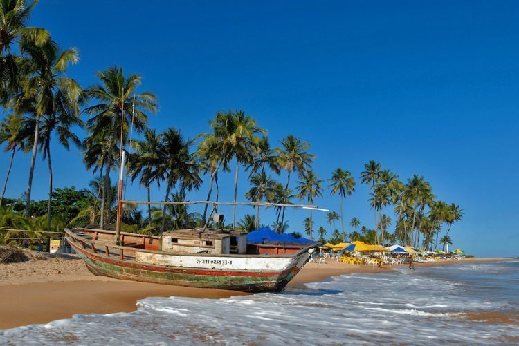 Além do Sol: Atividades e Ecoturismo nas Praias da Bahia