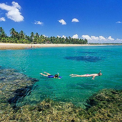 Além do Sol: Atividades e Ecoturismo nas Praias da Bahia