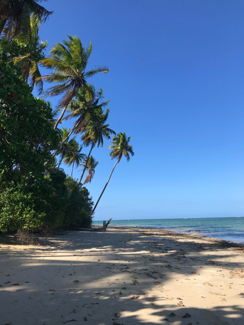 Guia Completo: Como Chegar às Praias Mais Paradisíacas da Bahia