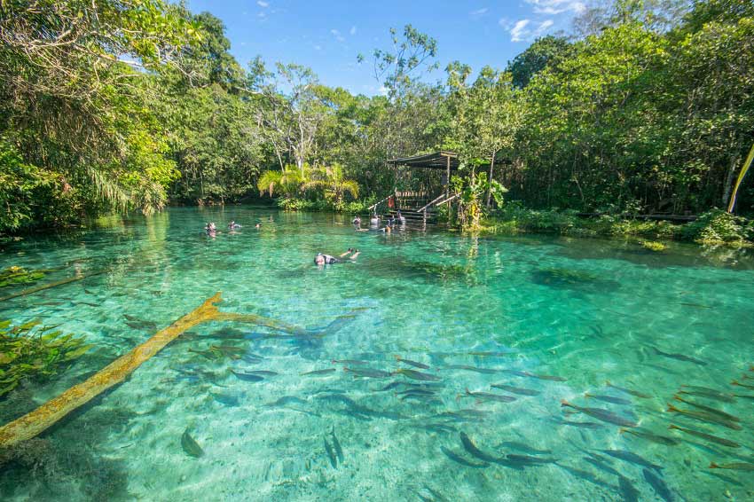 Praia da Pipa: O Destino Mais Bonito do Rio Grande do Norte?