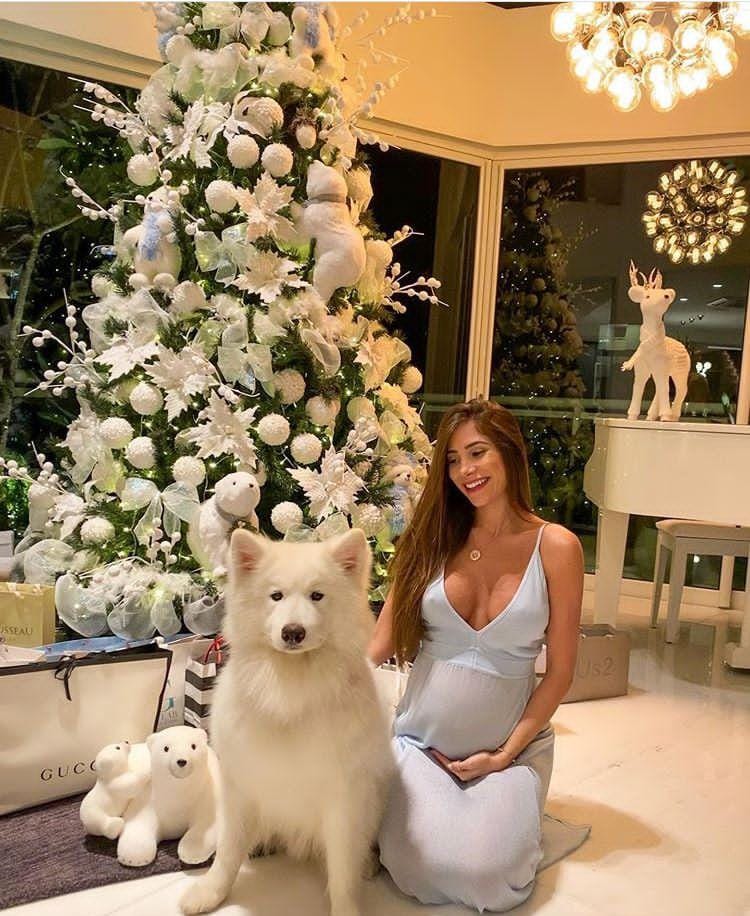 Guia Completo: Como Montar sua Árvore de Natal Perfeita