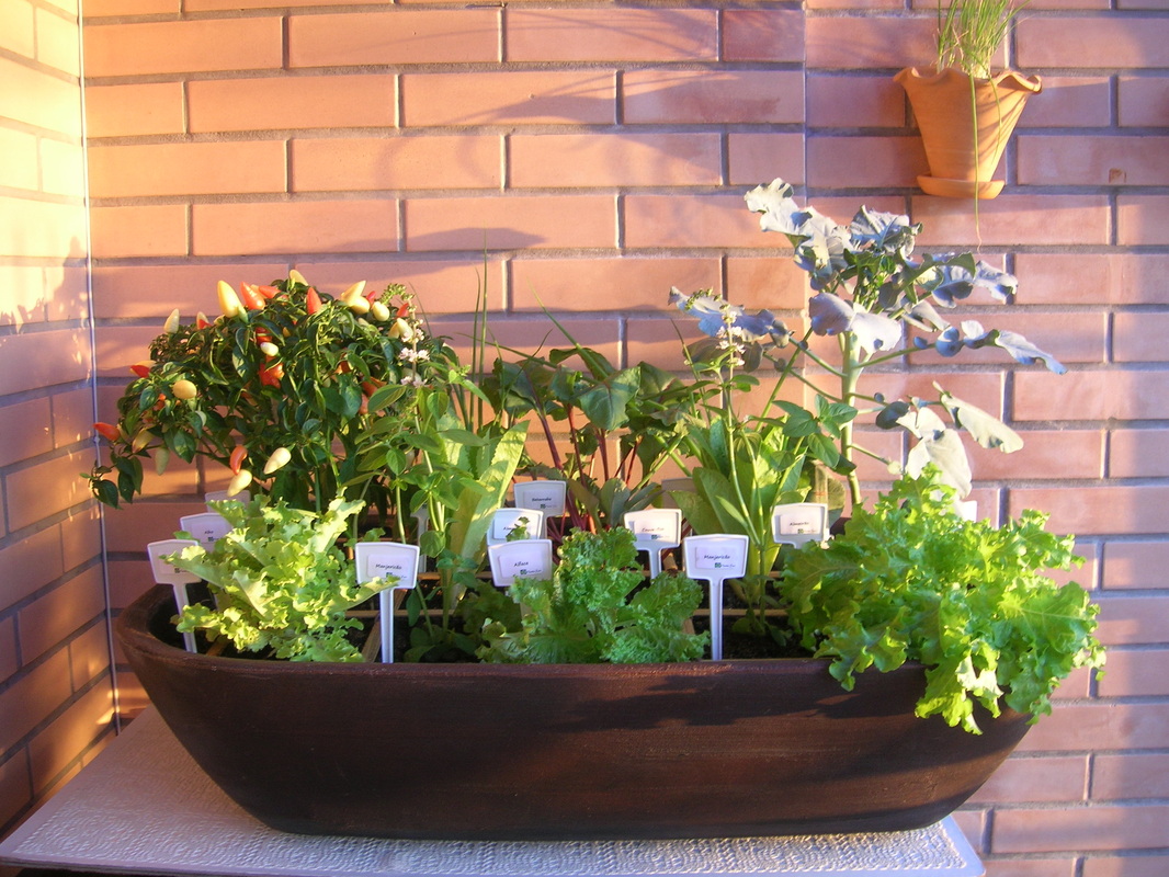 decoração de quarto com horta pequena na janela