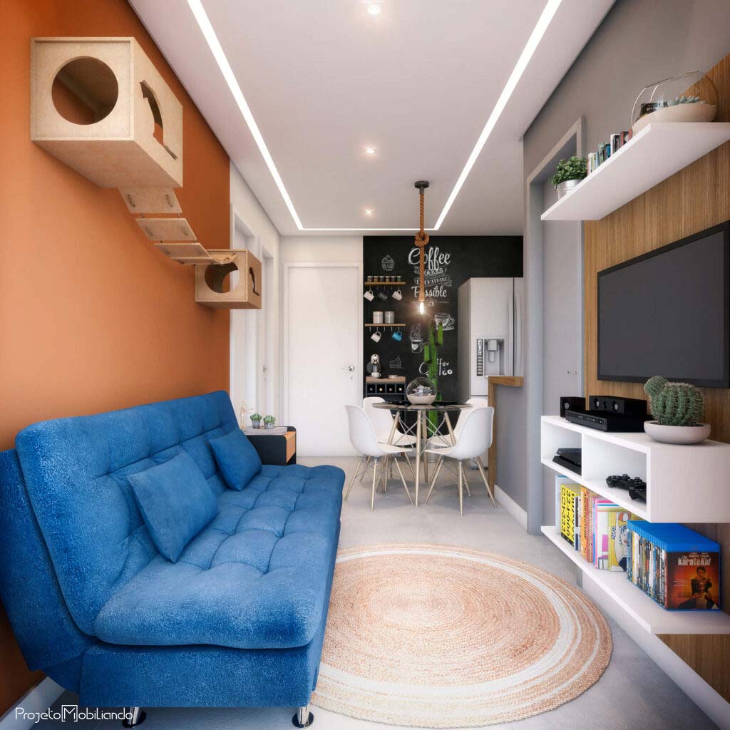 Plantas Baratas e Fáceis de Cuidar para Decorar Sua Sala