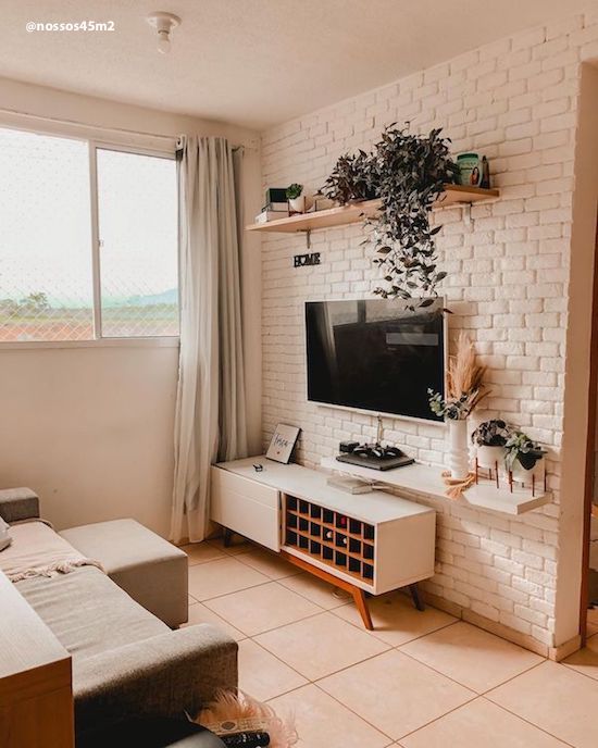 Plantas Baratas e Fáceis de Cuidar para Decorar Sua Sala