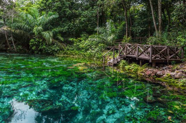 5 Experiências de Ecoturismo Inesquecíveis Além dos Destinos Famosos