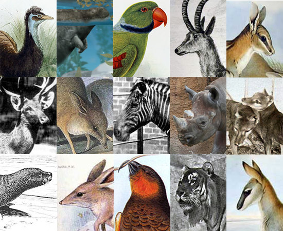 extintos