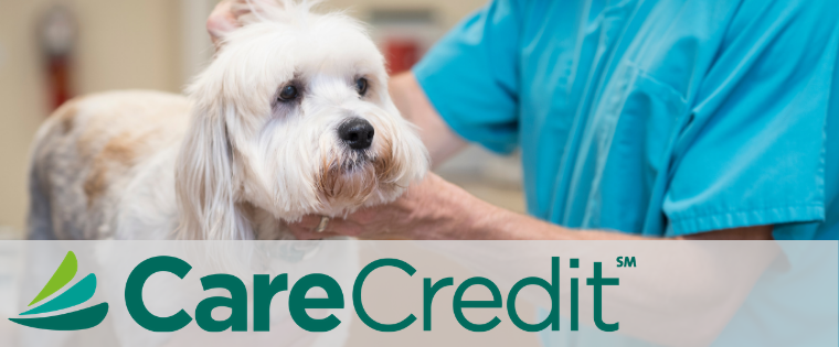 finanças para veterinários