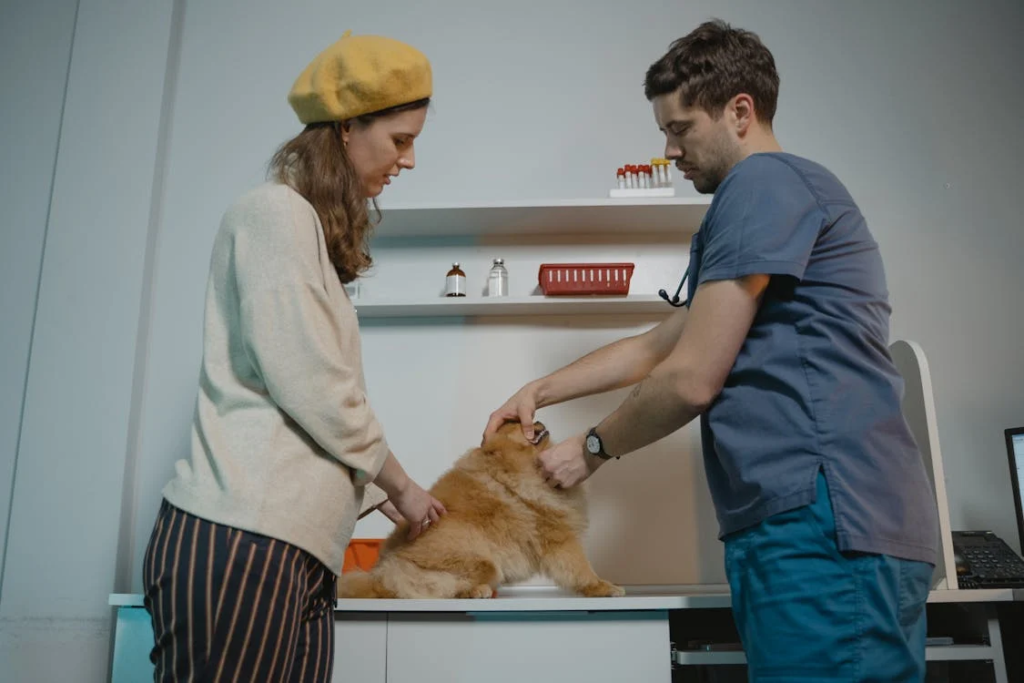 Salário do Veterinário: Expectativas e Realidade em 2025/2026