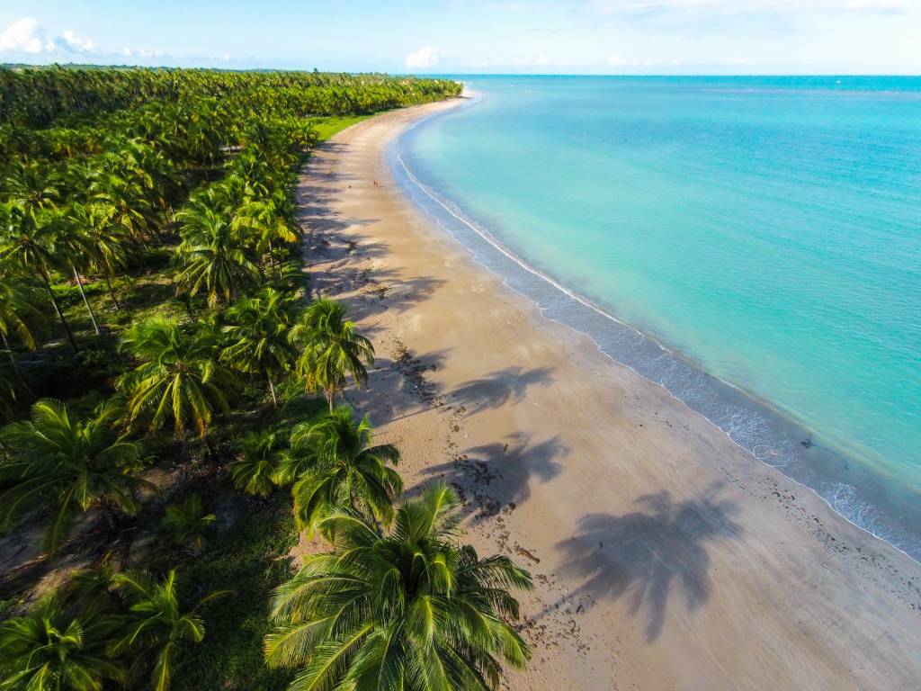 Litoral Sul de Maceió: Descobrindo a Praia do Gunga e Praia do Francês