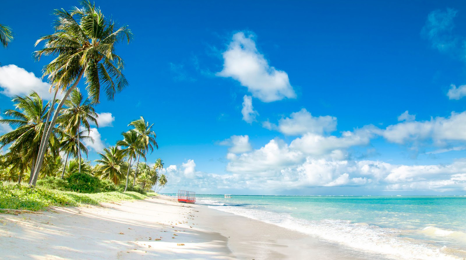 fotos das praias de maceio