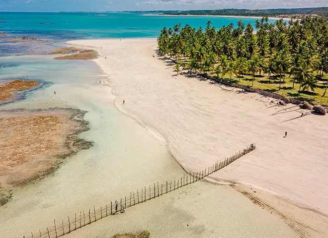 fotos de praias de maceio