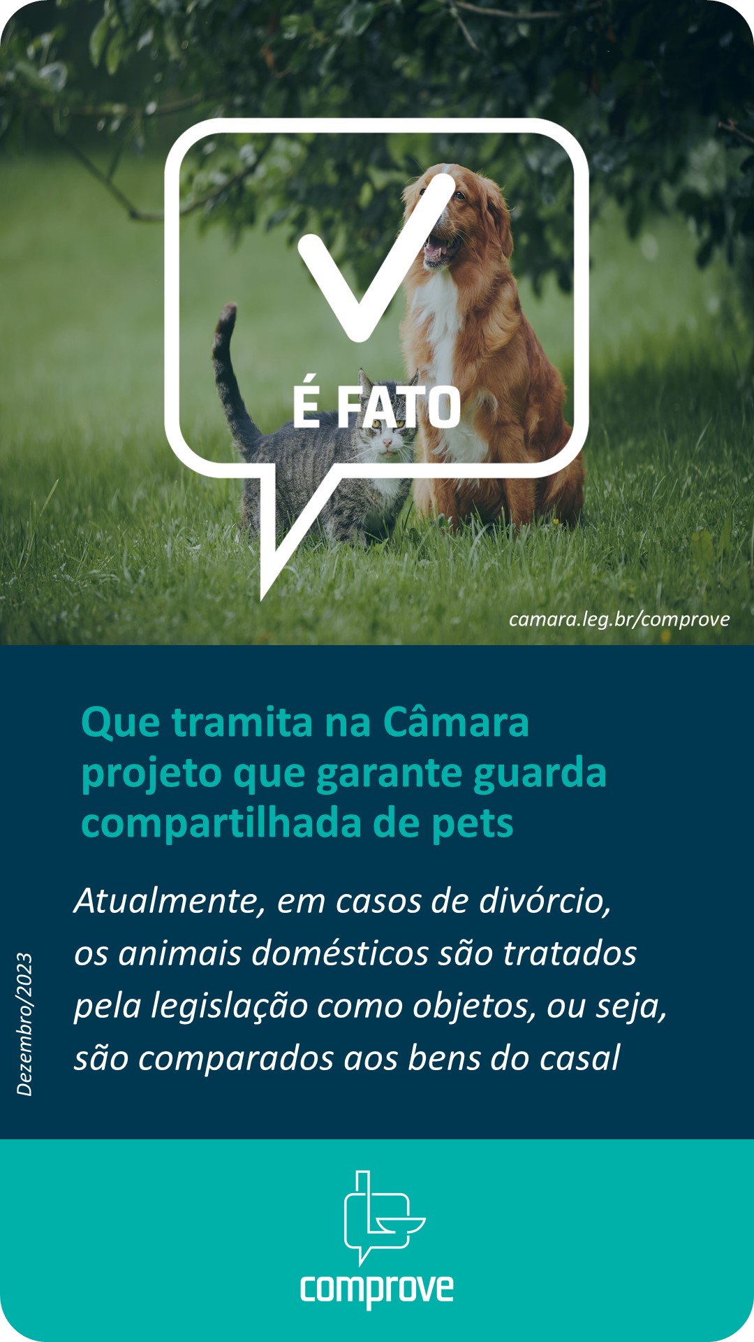 Guarda Compartilhada de Pets: O Que Muda Com a Nova Lei do Senado?