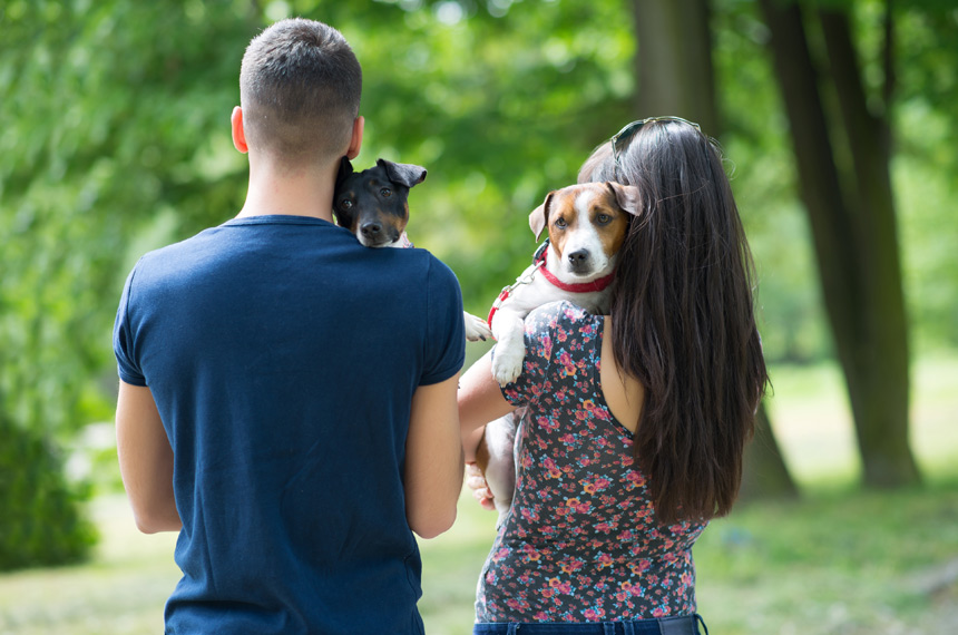 Guarda Compartilhada de Pets: O Que Muda Com a Nova Lei do Senado?