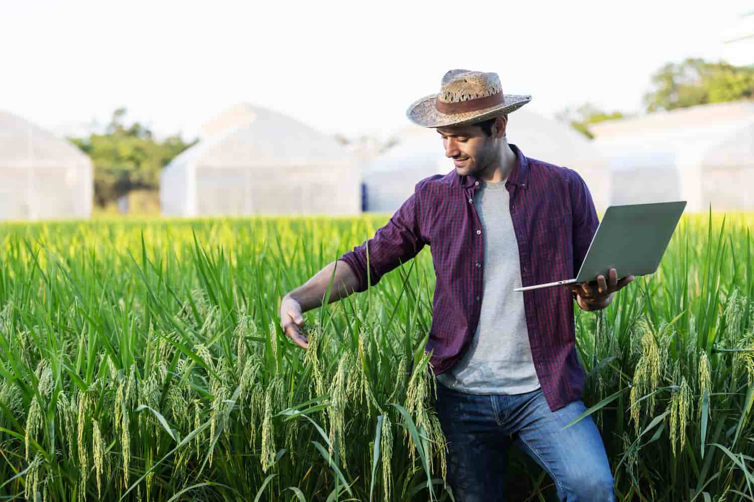 Os Riscos e Desvantagens da Holding Rural: O Que Você Precisa Saber