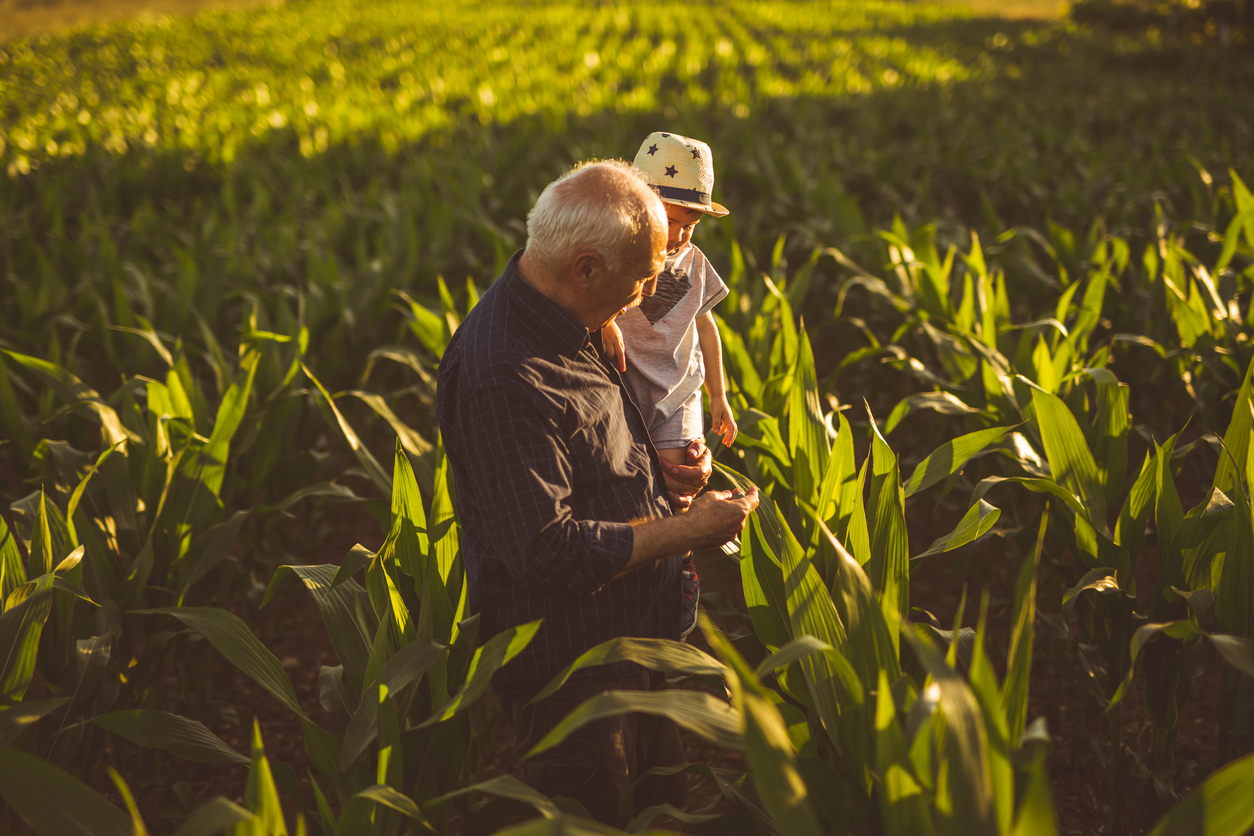 Passo a Passo: Constituindo uma Holding Rural para o Futuro da Sua Família
