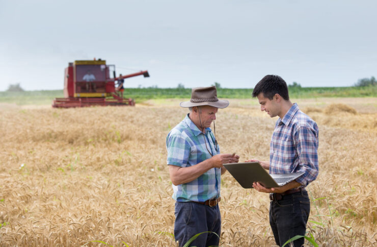 Os Riscos e Desvantagens da Holding Rural: O Que Você Precisa Saber