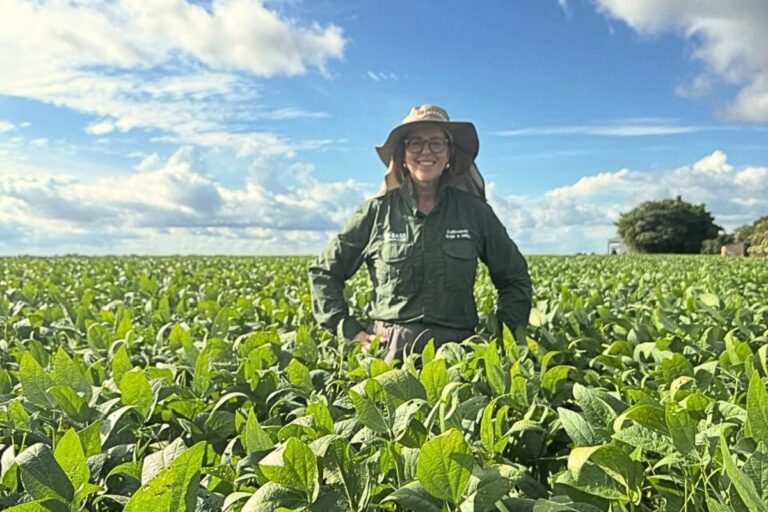 Como a Holding Rural Profissionaliza a Gestão do Seu Negócio Agrícola
